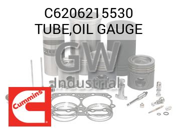 TUBE,OIL GAUGE — C6206215530