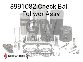 Check Ball - Follwer Assy — 8991082