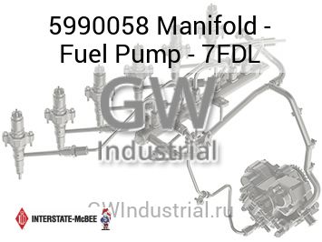 Manifold - Fuel Pump - 7FDL — 5990058