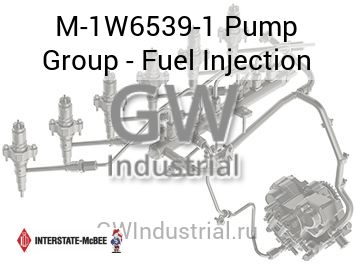 Pump Group - Fuel Injection — M-1W6539-1
