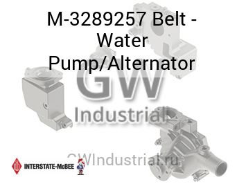 Belt - Water Pump/Alternator — M-3289257