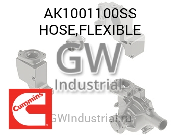 HOSE,FLEXIBLE — AK1001100SS