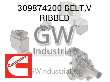 BELT,V RIBBED — 309874200