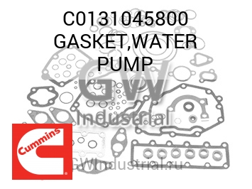 GASKET,WATER PUMP — C0131045800