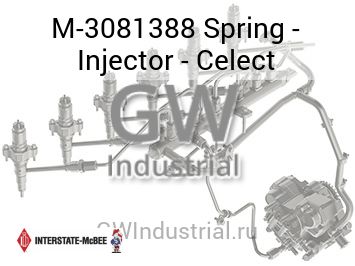 Spring - Injector - Celect — M-3081388
