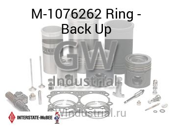 Ring - Back Up — M-1076262