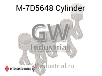 Cylinder — M-7D5648