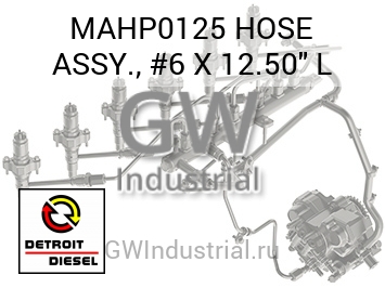 ШЛАНГ ASSY. #6 X 12.50