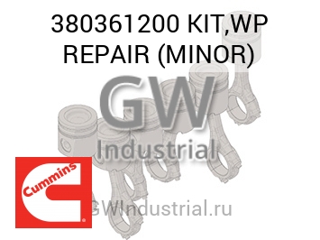 KIT,WP REPAIR (MINOR) — 380361200
