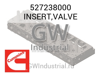 INSERT,VALVE — 527238000