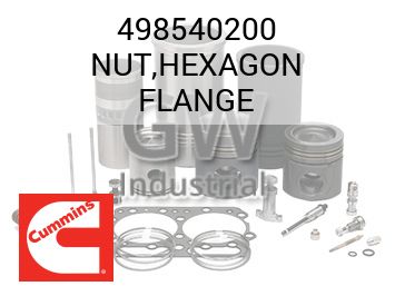 NUT,HEXAGON FLANGE — 498540200