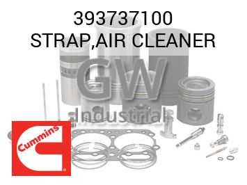 STRAP,AIR CLEANER — 393737100