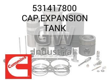 CAP,EXPANSION TANK — 531417800