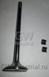 Kit - Valve - Exhaust — M-4089762