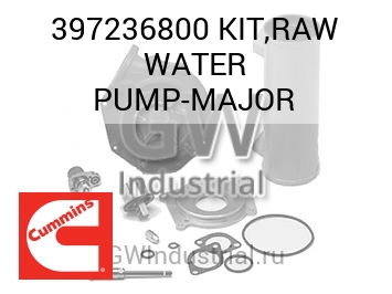 KIT,RAW WATER PUMP-MAJOR — 397236800