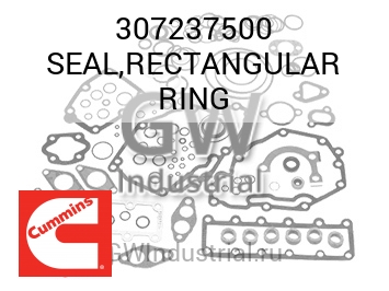 SEAL,RECTANGULAR RING — 307237500