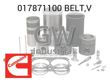 BELT,V — 017871100