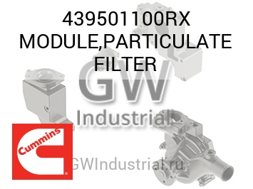 MODULE,PARTICULATE FILTER — 439501100RX