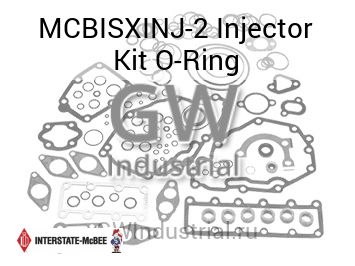 Injector Kit O-Ring — MCBISXINJ-2