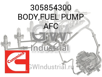 BODY,FUEL PUMP AFC — 305854300