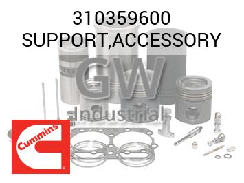 SUPPORT,ACCESSORY — 310359600