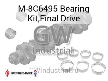 Bearing Kit,Final Drive — M-8C6495