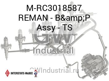 REMAN - B&P Assy - TS — M-RC3018587