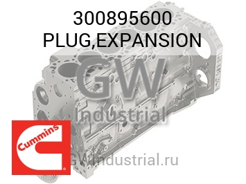 PLUG,EXPANSION — 300895600