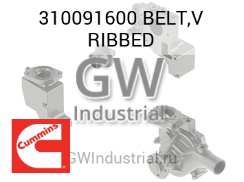 BELT,V RIBBED — 310091600