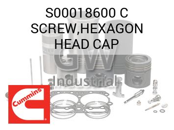 SCREW,HEXAGON HEAD CAP — S00018600 C