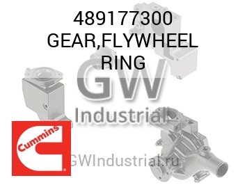 GEAR,FLYWHEEL RING — 489177300