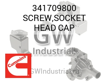 SCREW,SOCKET HEAD CAP — 341709800