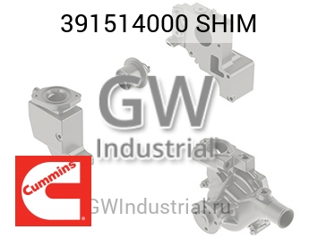 SHIM — 391514000