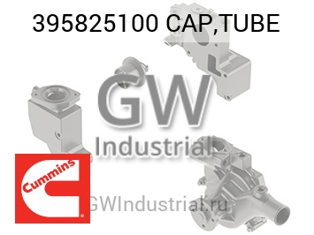 CAP,TUBE — 395825100