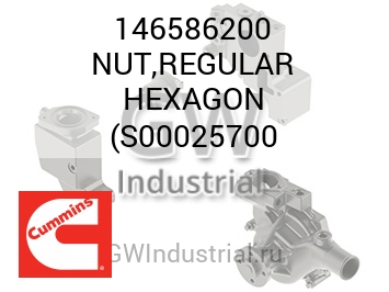 NUT,REGULAR HEXAGON (S00025700 — 146586200