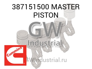 MASTER PISTON — 387151500