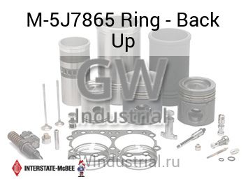 Ring - Back Up — M-5J7865
