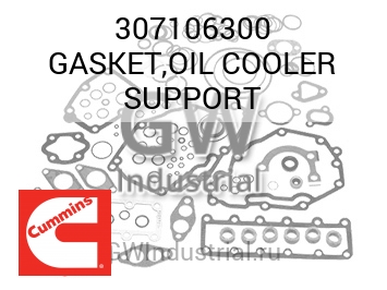 GASKET,OIL COOLER SUPPORT — 307106300