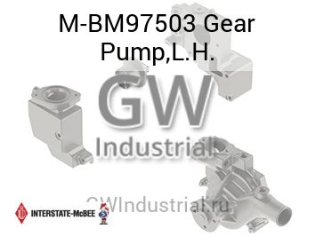 Gear Pump,L.H. — M-BM97503