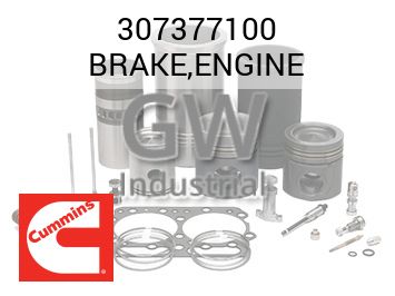 BRAKE,ENGINE — 307377100