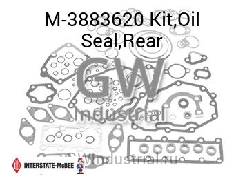Kit,Oil Seal,Rear — M-3883620