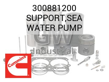 SUPPORT,SEA WATER PUMP — 300881200