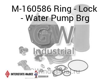 Ring - Lock - Water Pump Brg — M-160586
