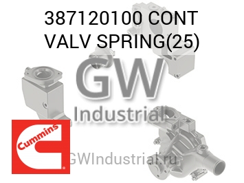 CONT VALV SPRING(25) — 387120100