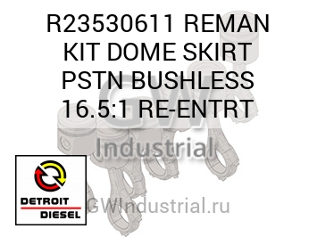 REMAN KIT DOME SKIRT PSTN BUSHLESS 16.5:1 RE-ENTRT — R23530611