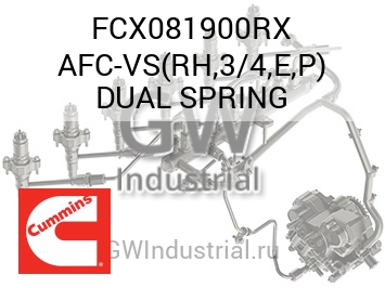 AFC-VS(RH,3/4,E,P) DUAL SPRING — FCX081900RX