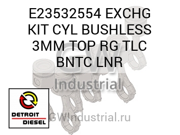 EXCHG KIT CYL BUSHLESS 3MM TOP RG TLC BNTC LNR — E23532554