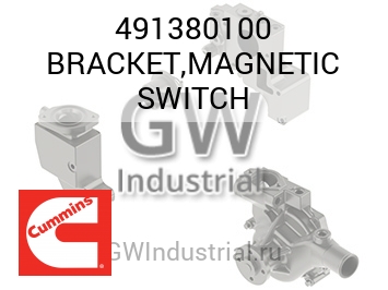 BRACKET,MAGNETIC SWITCH — 491380100
