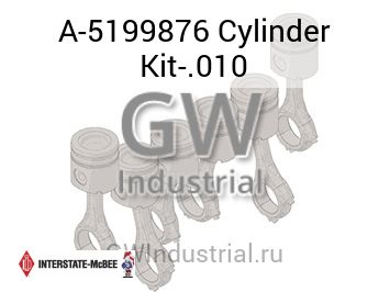 Cylinder Kit-.010 — A-5199876