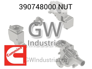 NUT — 390748000